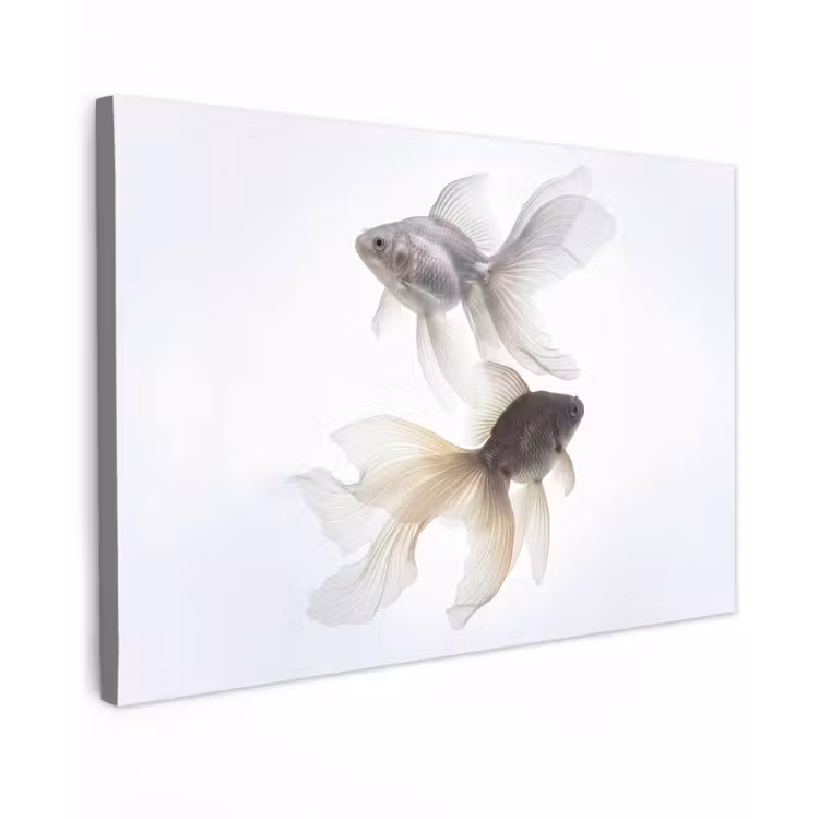 Goudvissen - Modern - Wit Tuinposter op houten frame 2 cm dik klein -3d