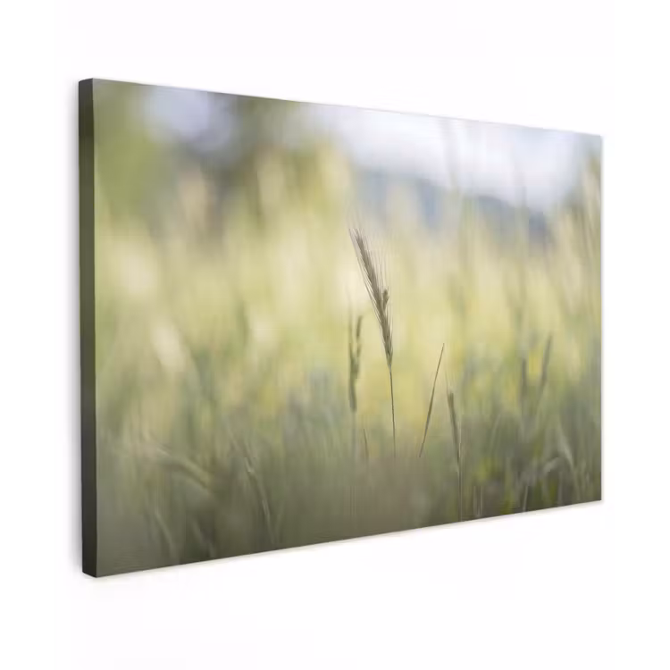 Graan - Aar - Natuur - Groen - Detail Tuinposter op houten frame 2 cm dik klein -3d