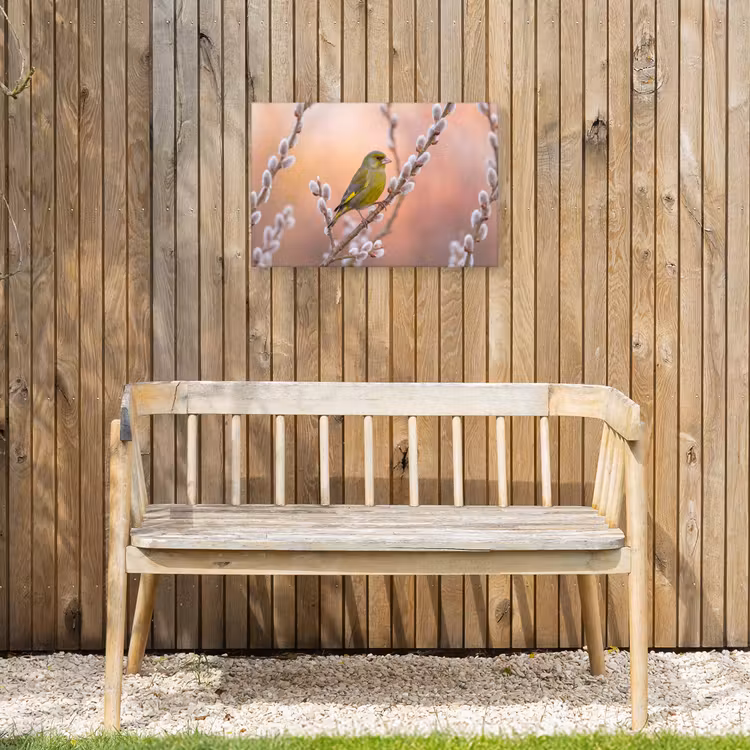 Groenling - Katjes - Lente - Natuur - Zacht Tuinposter op houten frame 2 cm dik klein -sfeer4