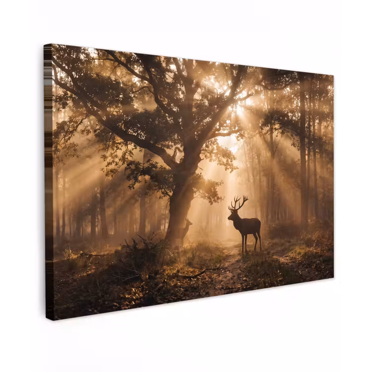 Hert - Bos - Mistig - Natuur - Goud Tuinposter op houten frame 2 cm dik klein -3d