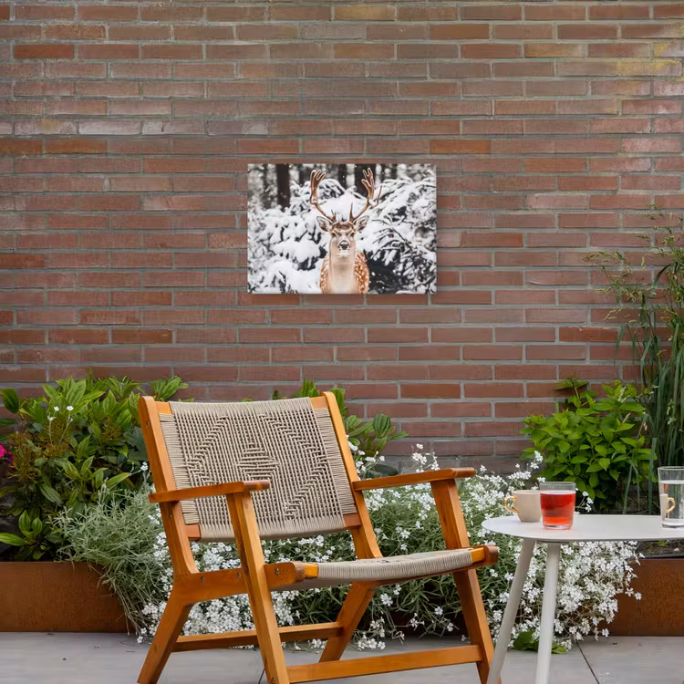Hert - Sneeuw - Winter - Bos - Dieren Tuinposter op houten frame 2 cm dik klein -sfeer3