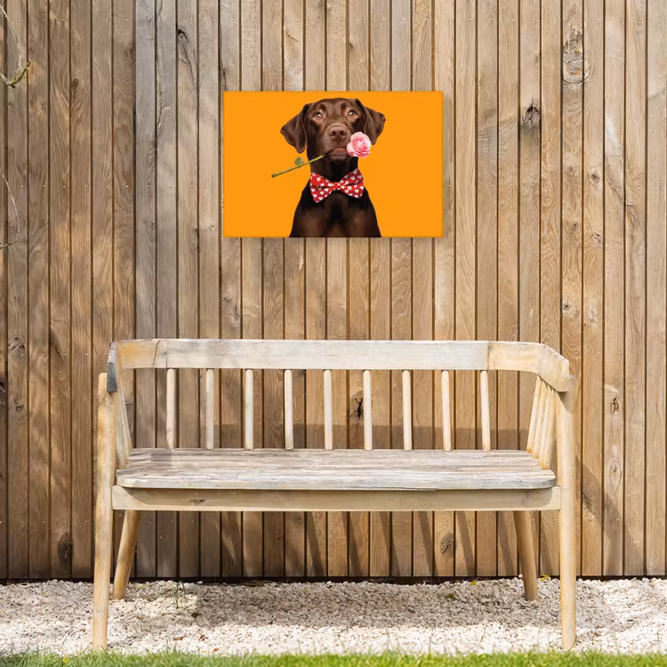 Hond - Oranje - Roos - Valentijn Tuinposter op houten frame 2 cm dik klein -sfeer4