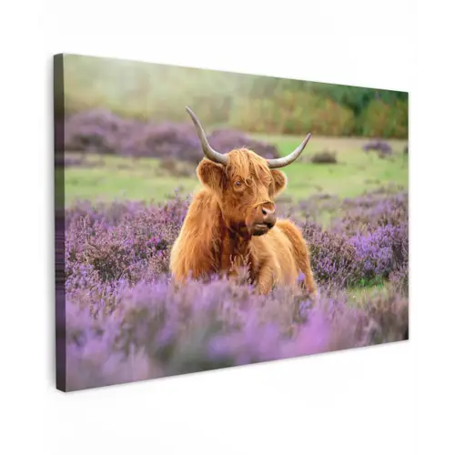 Hooglander in de Heide Tuinposter op houten frame 2 cm dik klein -3d