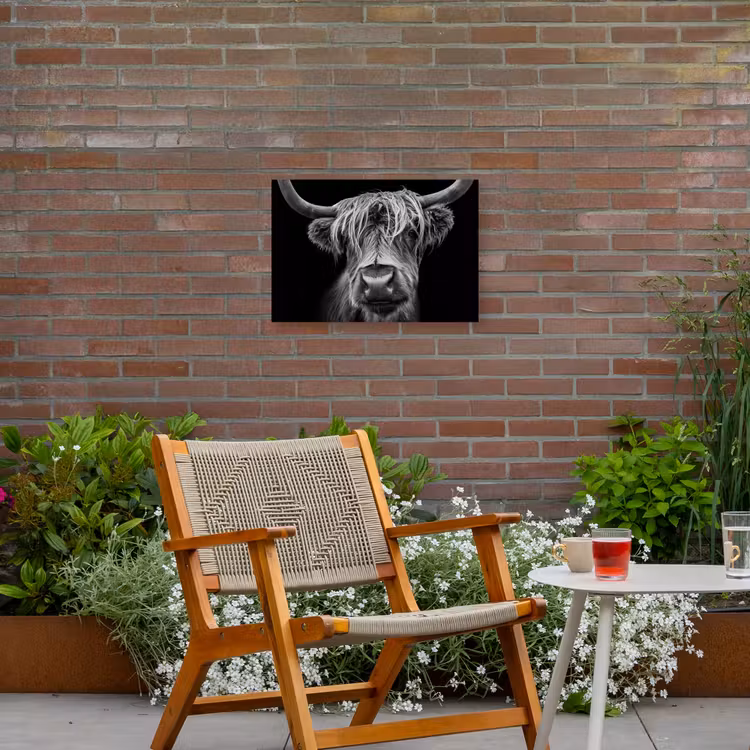 Hooglander in Zwart-Wit Tuinposter op houten frame 2 cm dik klein -sfeer3
