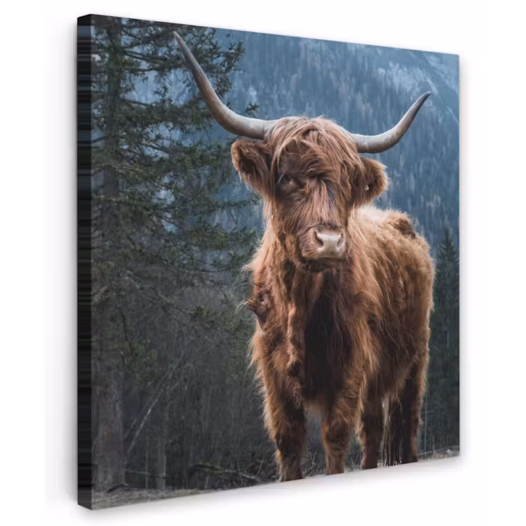 Hooglander voor Bergen Tuinposter op houten frame 2 cm dik middel -3d