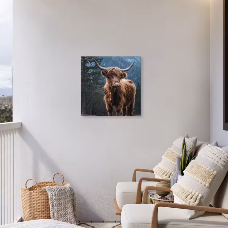 Hooglander voor Bergen Tuinposter op houten frame 2 cm dik middel -sfeer1