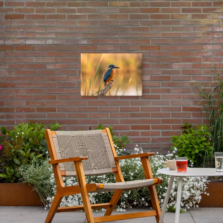 IJsvogel - Tak - Water - Kleurrijk - Levendig Tuinposter op houten frame 2 cm dik klein -sfeer3