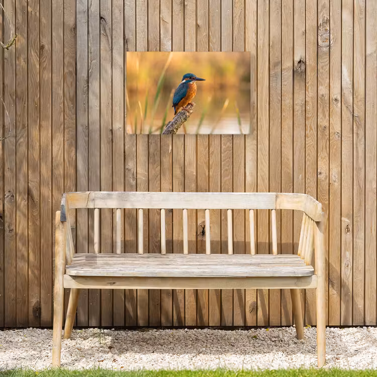 IJsvogel - Tak - Water - Kleurrijk - Levendig Tuinposter op houten frame 2 cm dik klein -sfeer4