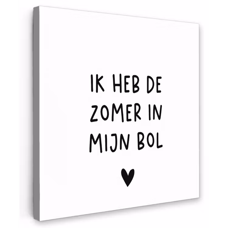 Ik heb de zomer in mijn bol - André Hazes - Spreuken - Quotes Tuinposter op houten frame 2 cm dik middel -3d