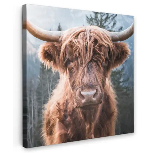 Imposante Hooglander in de Natuur Tuinposter op houten frame 2 cm dik middel -3d