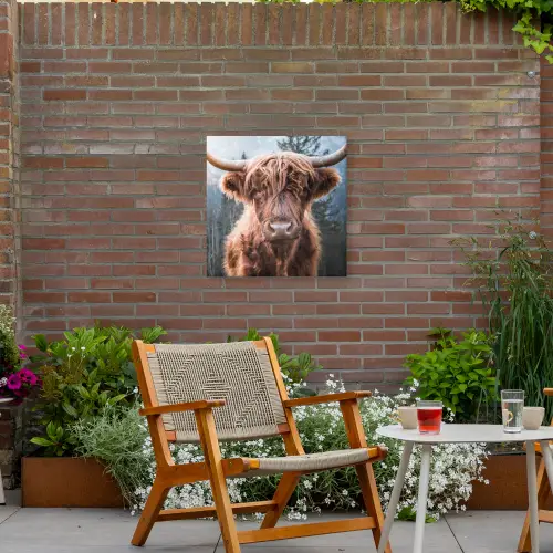 Imposante Hooglander in de Natuur Tuinposter op houten frame 2 cm dik middel -sfeer3