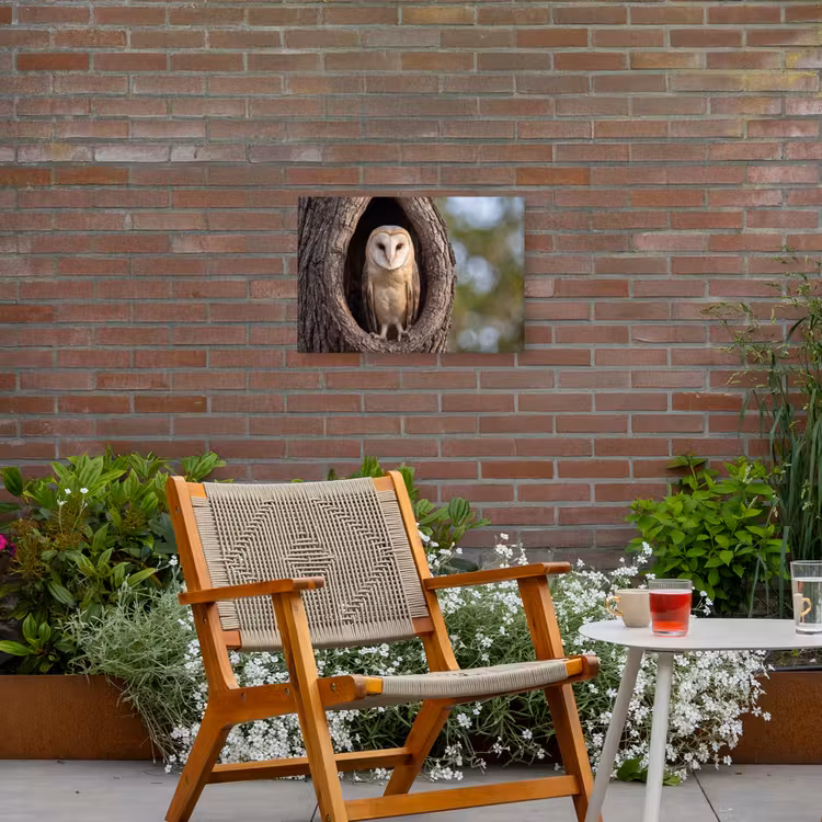 Kerkuil - Boom - Natuur - Bruin Tuinposter op houten frame 2 cm dik klein -sfeer3