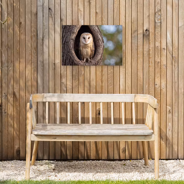 Kerkuil - Boom - Natuur - Bruin Tuinposter op houten frame 2 cm dik klein -sfeer4