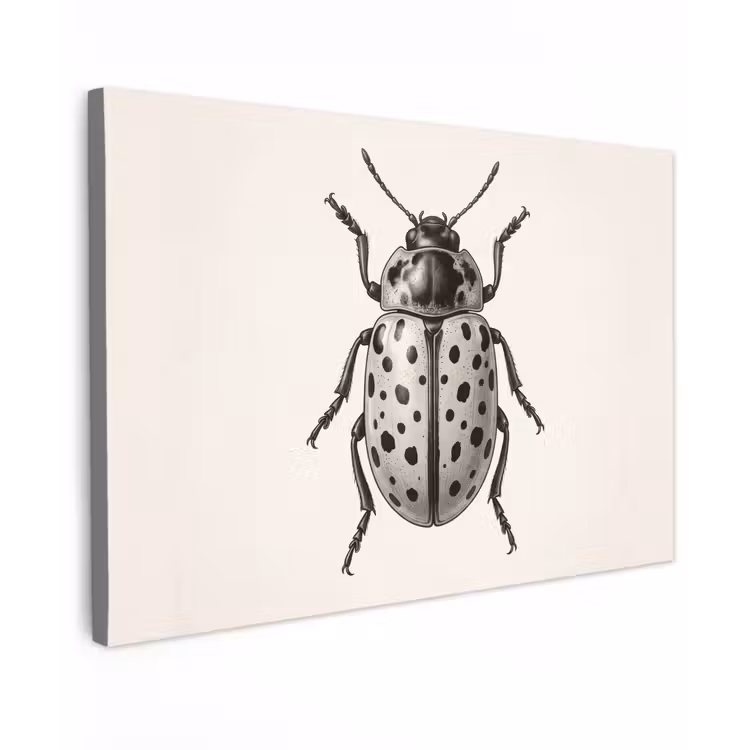 Kever - Insect - Vintage Tuinposter op houten frame 2 cm dik klein -3d