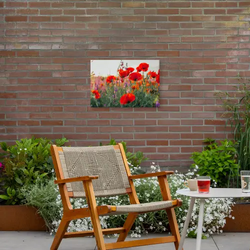 Klaproos - Bloemen - Rood - Paars - Weide Tuinposter op houten frame 2 cm dik klein -sfeer3