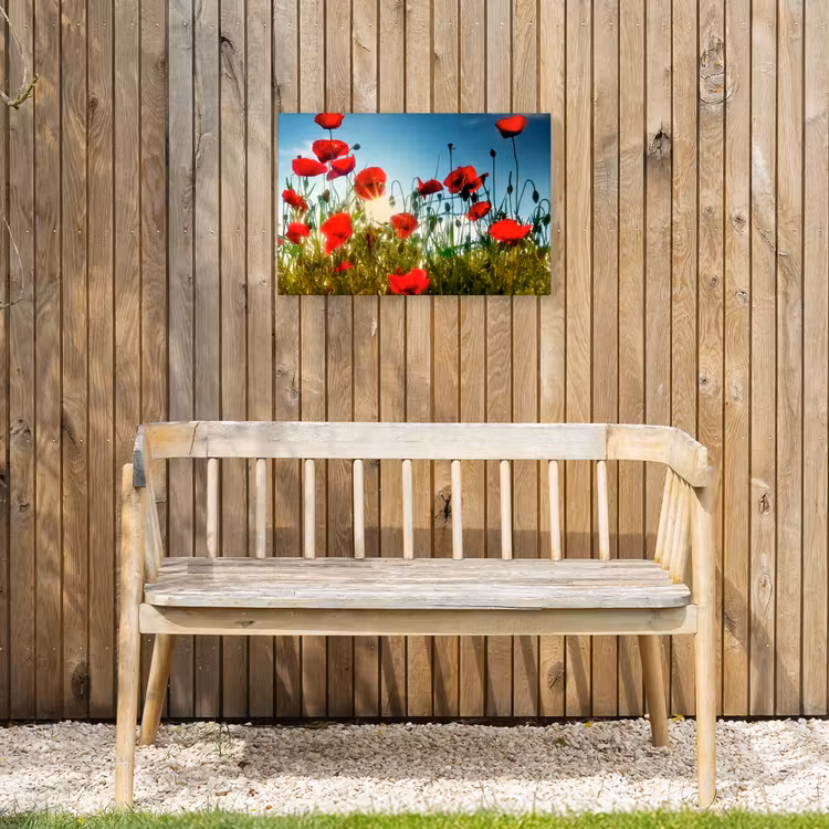 Klaprozen - Toscane - Zon - Rood - Blauw Tuinposter op houten frame 2 cm dik klein -sfeer4