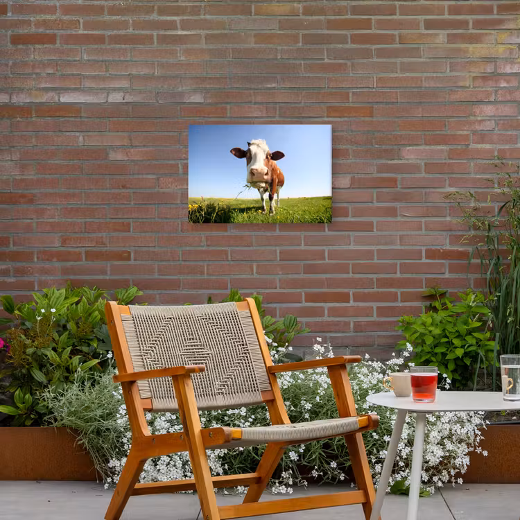 Koe - Dieren - Bloemen - Gras Tuinposter op houten frame 2 cm dik klein -sfeer3