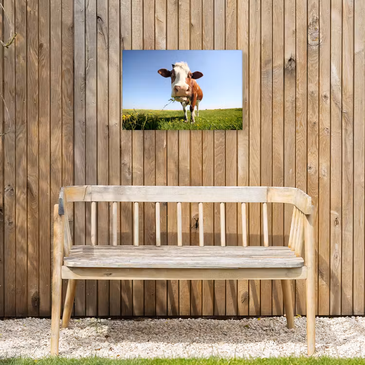 Koe in de Weide Tuinposter op houten frame 2 cm dik klein -sfeer4