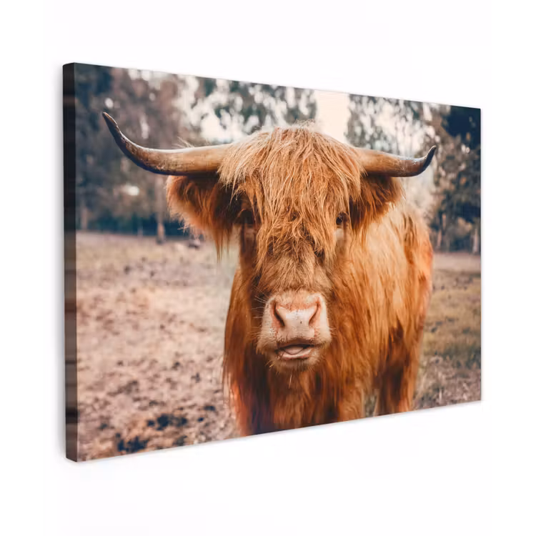 Koe- Schotse hooglander - Hoorns - Bruin - Landschap Tuinposter op houten frame 2 cm dik klein -3d