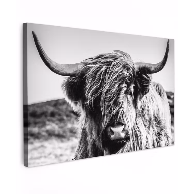 Koe - Schotse hooglander - Zwart - Wit - Dier - Natuur - Wild Tuinposter op houten frame 2 cm dik klein -3d