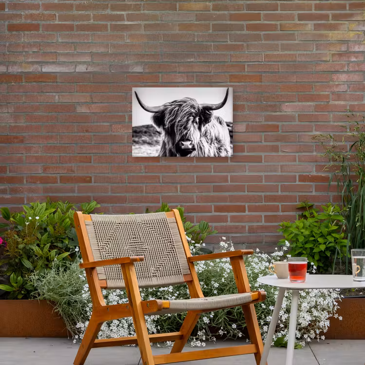Koe - Schotse hooglander - Zwart - Wit - Dier - Natuur - Wild Tuinposter op houten frame 2 cm dik klein -sfeer3