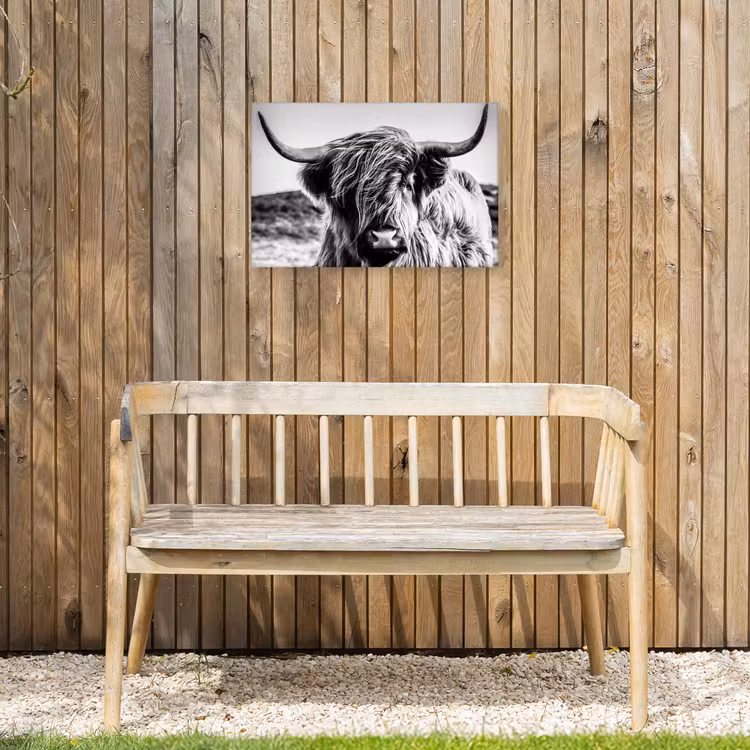 Koe - Schotse hooglander - Zwart - Wit - Dier - Natuur - Wild Tuinposter op houten frame 2 cm dik klein -sfeer4