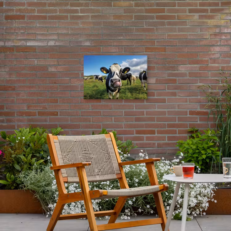 Koe - Tong - Weide Tuinposter op houten frame 2 cm dik klein -sfeer3