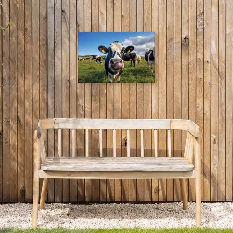 Koe - Tong - Weide Tuinposter op houten frame 2 cm dik klein -sfeer4