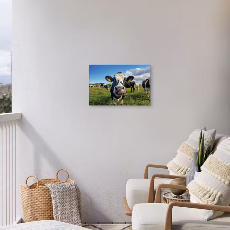 Koe - Tong - Weide Tuinposter op houten frame 2 cm dik klein -sfeer1