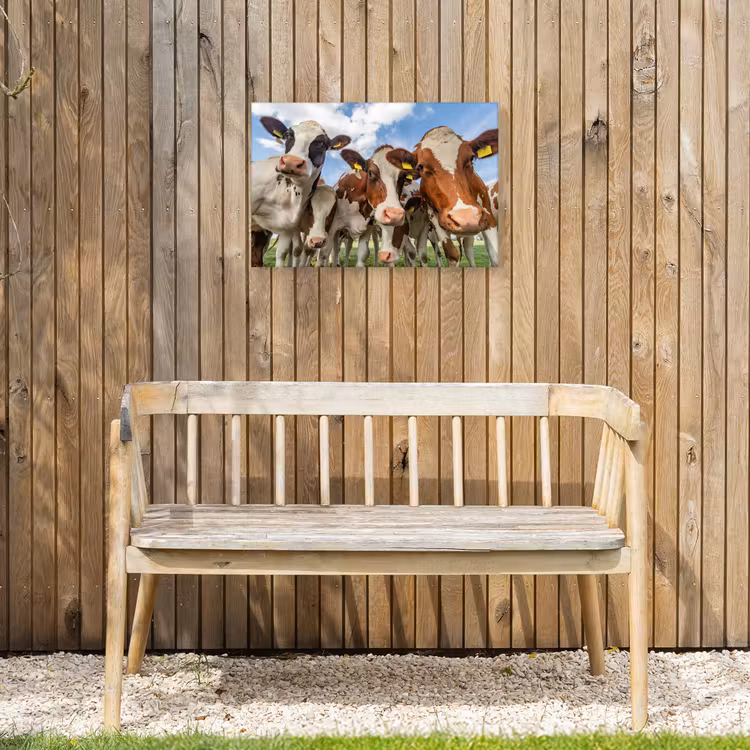 Koeien - Dieren - Weiland - Natuur Tuinposter op houten frame 2 cm dik klein -sfeer4