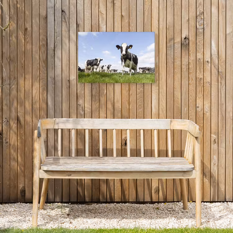 Koeien - Gras - Dieren - Zon - Boerderij Tuinposter op houten frame 2 cm dik klein -sfeer4