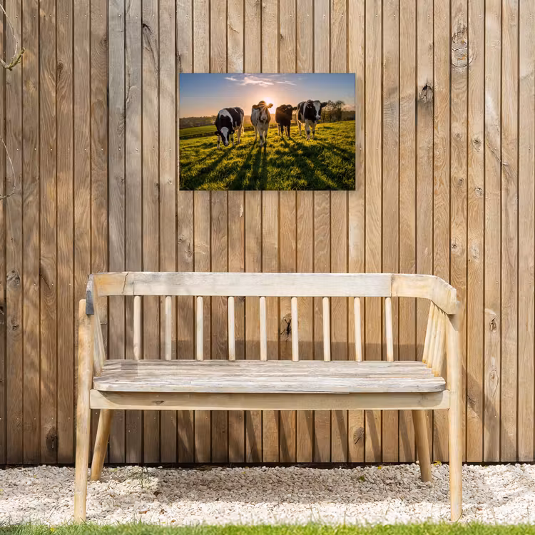Koeien in de ochtendzon Tuinposter op houten frame 2 cm dik klein -sfeer4