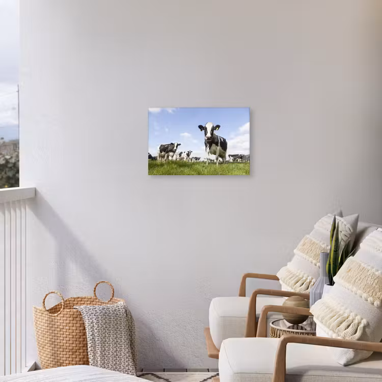 Koeien in de weide onder een heldere lucht Tuinposter op houten frame 2 cm dik klein -sfeer1