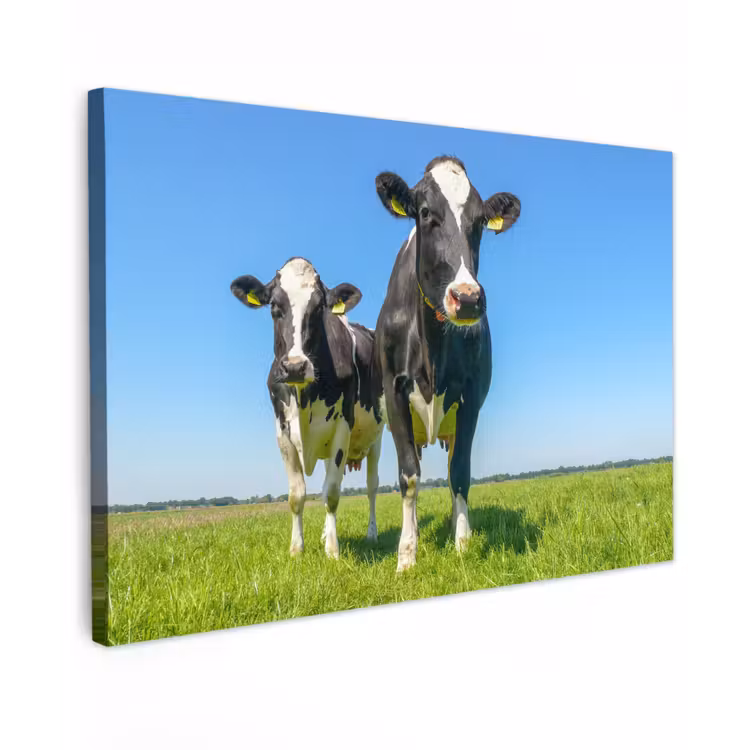 Koeien - Weiland - Gras - Dieren - Boerderij Tuinposter op houten frame 2 cm dik klein -3d