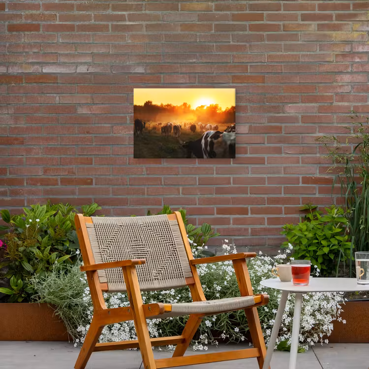 Koeien - Zonsondergang - Weiland - Dieren Tuinposter op houten frame 2 cm dik klein -sfeer3