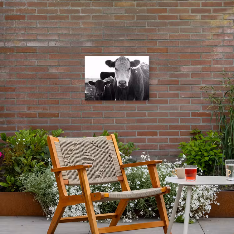 Koeien - Zwart - Wit Tuinposter op houten frame 2 cm dik klein -sfeer3