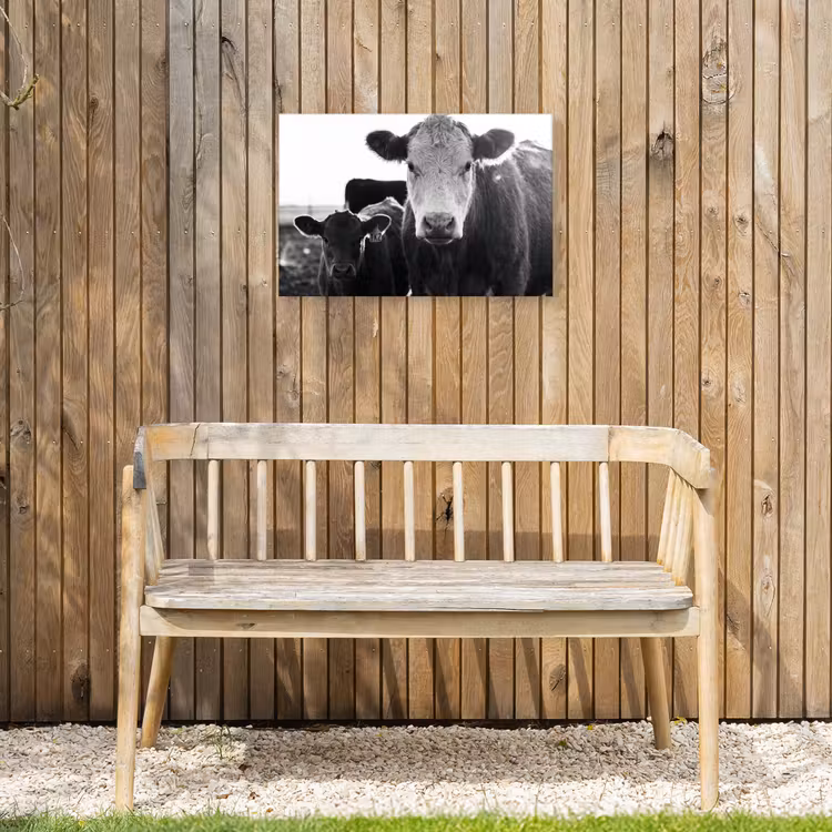 Koeien - Zwart - Wit Tuinposter op houten frame 2 cm dik klein -sfeer4