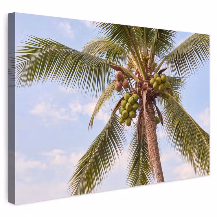 Kokosnoot - Boom - Tropisch - Natuur - Groen Tuinposter op houten frame 2 cm dik klein -3d