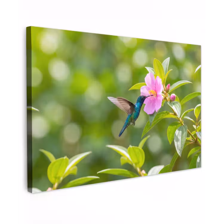 Kolibrie - Bloem - Natuur - Groen Tuinposter op houten frame 2 cm dik klein -3d