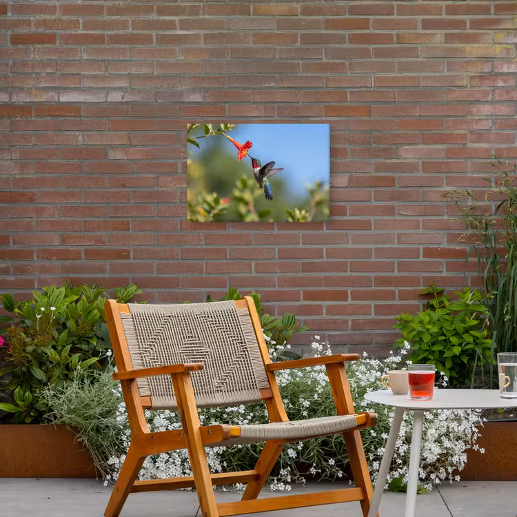 Kolibrie - Bloem - Natuur - Groen Tuinposter op houten frame 2 cm dik klein -sfeer3