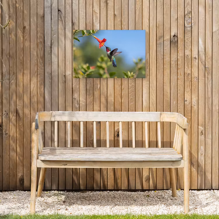 Kolibrie - Bloem - Natuur - Groen Tuinposter op houten frame 2 cm dik klein -sfeer4