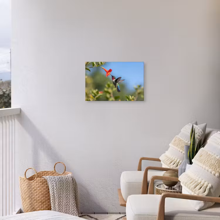 Kolibrie - Bloem - Natuur - Groen Tuinposter op houten frame 2 cm dik klein -sfeer1