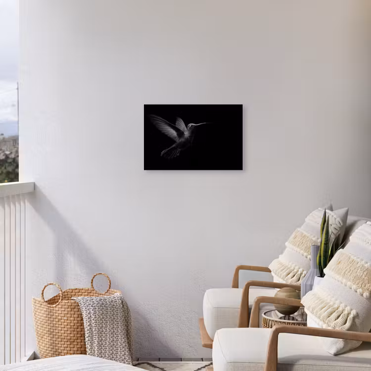 Kolibrie - Zwart - Dieren Tuinposter op houten frame 2 cm dik klein -sfeer1