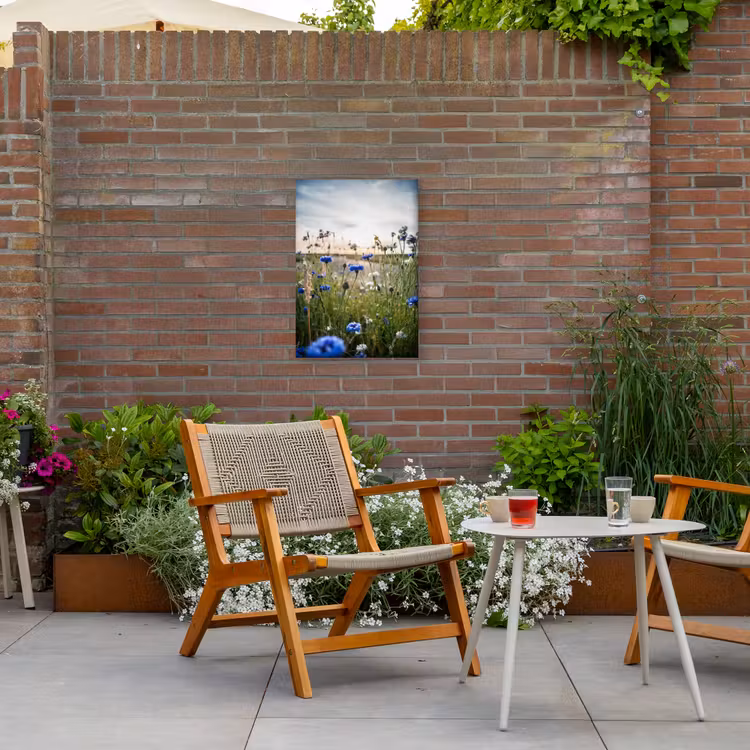 Korenbloemen bij zonsondergang Tuinposter op houten frame 2 cm dik klein -sfeer3