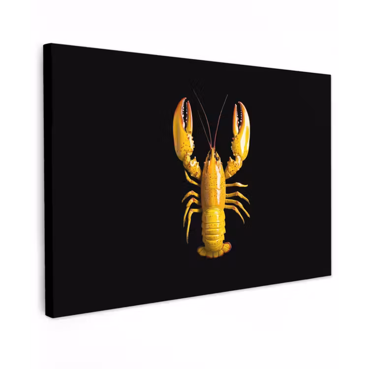 Kreeft - Geel - Stippen - Effen Tuinposter op houten frame 2 cm dik klein -3d