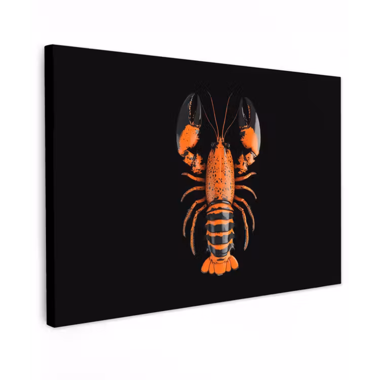 Kreeft - Oranje - Zwart - Modern Tuinposter op houten frame 2 cm dik klein -3d