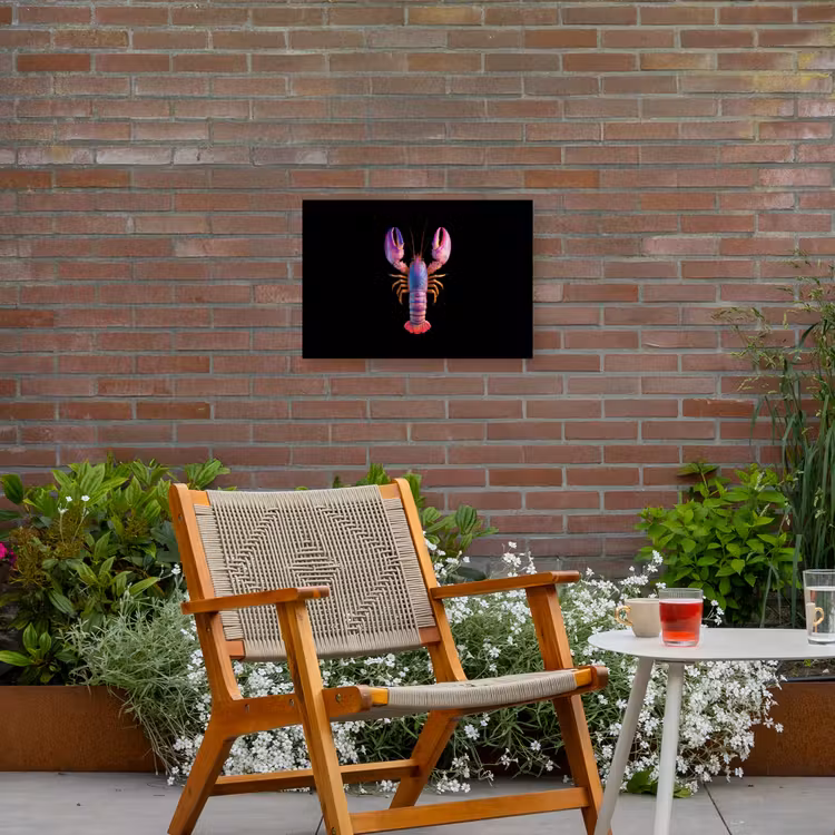 Kreeft - Paars - Roze - Zwart - Stippen - Lila Tuinposter op houten frame 2 cm dik klein -sfeer3