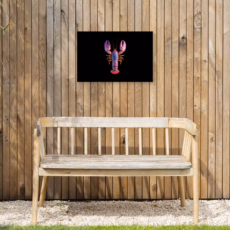 Kreeft - Paars - Roze - Zwart - Stippen - Lila Tuinposter op houten frame 2 cm dik klein -sfeer4