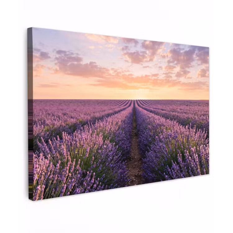 Landschap - Lavendelveld - Paars Tuinposter op houten frame 2 cm dik klein -3d