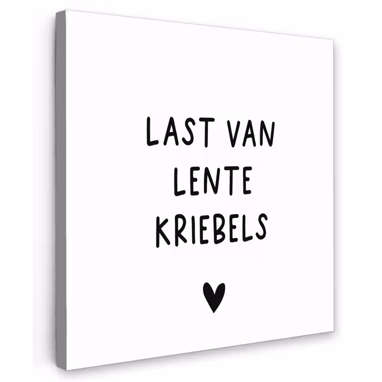 Last van lentekriebels - Spreuken - Quotes Tuinposter op houten frame 2 cm dik middel -3d